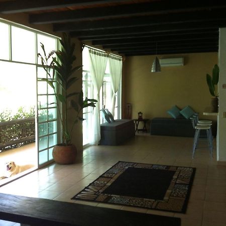 Casa Guacamaya Otel Palenque Dış mekan fotoğraf