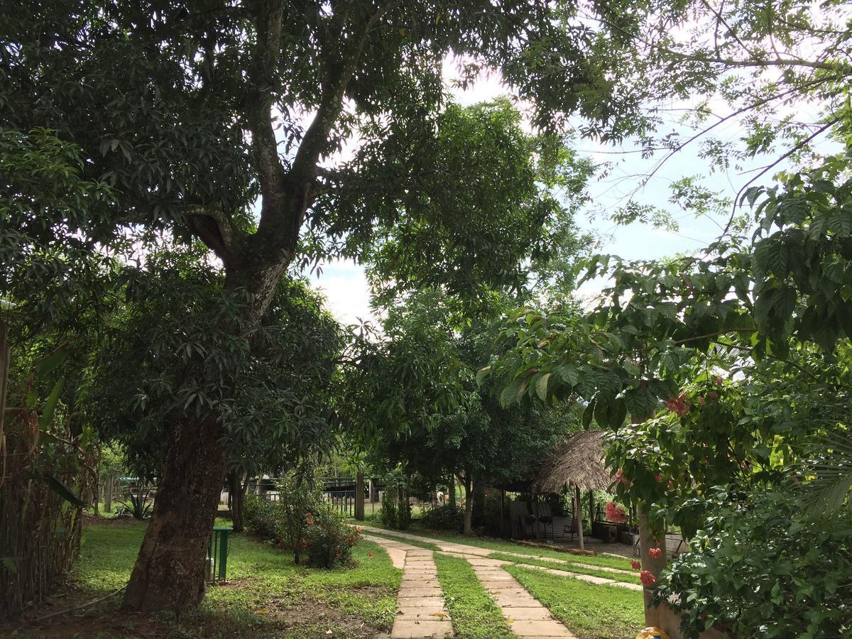Casa Guacamaya Otel Palenque Dış mekan fotoğraf