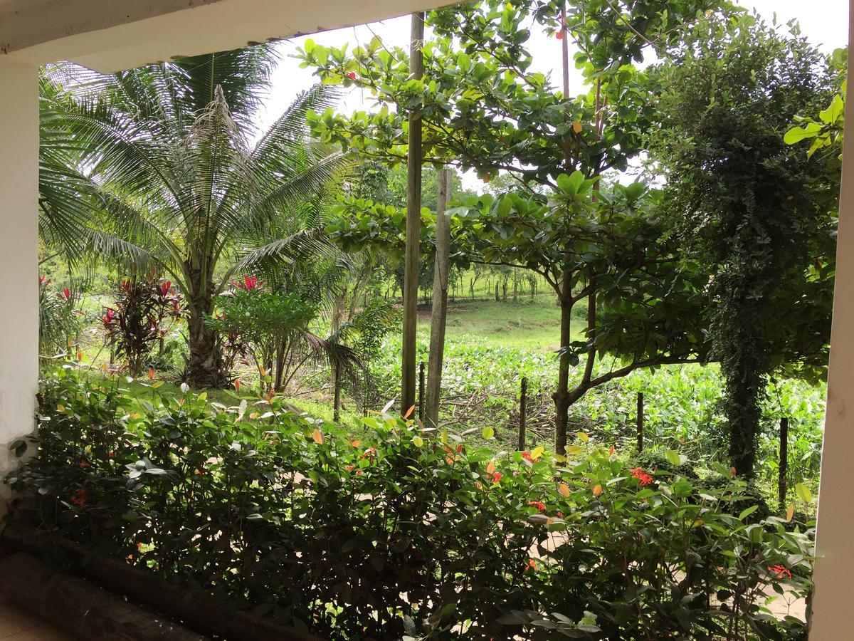 Casa Guacamaya Otel Palenque Dış mekan fotoğraf